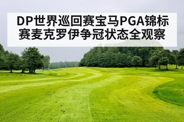 DP世界巡回赛宝马PGA锦标赛麦克罗伊争冠状态全观察 | kaiyun